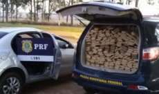 Traficante capota carro em persegui&ccedil;&atilde;o e abandona 654 quilos de maconha