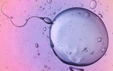 Governo da It&aacute;lia &eacute; criticado ap&oacute;s campanha de fertilidade
