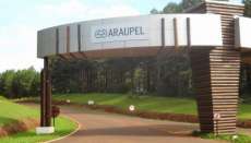 Quedas - ARAUPEL emite nota de esclarecimento