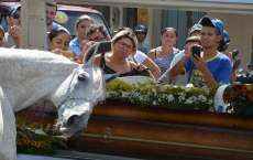 Cavalo comove fam&iacute;lia de vaqueiro morto ao 'se despedir' do dono