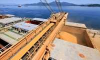 Porto de Paranaguá se prepara para receber e escoar a nova safra