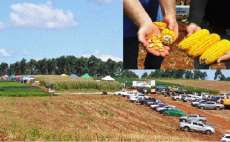 Quedas - Agricultores participam do 5&ordm; Dia de Campo do Sindicato Patronal