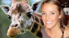 Americana leva chute de girafa e ainda &eacute; multada por assediar animal