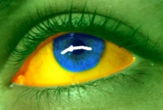 &ldquo;2012 &ndash; Esporte e pol&iacute;tica&rdquo;