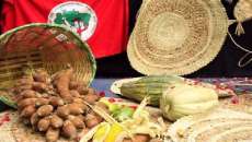 Laranjeiras - Neste sábado dia 03, acontece a 1ª Feira regional de mulheres da agricultura familiar camponesa