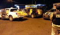 Policiais fazem a maior apreensão do ano de maconha no Paraná