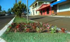 Porto Barreiro - Prefeitura deu in&iacute;cio ao plantio de flores