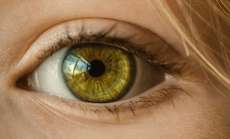 Brasileiros desenvolvem aparelho para examinar retina com smartphone