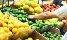 Cesta b&aacute;sica no PR deve ter redu&ccedil;&atilde;o m&eacute;dia de 9%