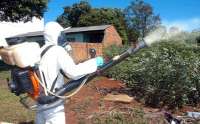Estado dará suporte a municípios paranaenses para combate à dengue