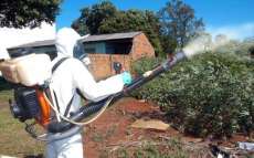 Estado dar&aacute; suporte a munic&iacute;pios paranaenses para combate &agrave; dengue