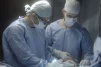 'A Lei do Amor': Fausto &eacute; operado e Suzana n&atilde;o resiste a ferimentos e morre