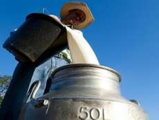 Quedas - Munic&iacute;pio debate capacita&ccedil;&atilde;o para produtores de leite