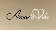 Novela Amor &agrave; Vida come&ccedil;a nesta segunda abordando ado&ccedil;&atilde;o, homossexualidade e autismo