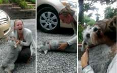 Jovem reencontra cadela ap&oacute;s dois anos e animal desmaia de alegria - Assista
