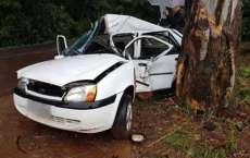 Homem fica gravemente ferido ap&oacute;s carro bater em &aacute;rvore