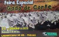 Laranjeiras - A Sociedade Rural realizará mais um grande leilão neste sábado dia 11