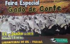 Laranjeiras - A Sociedade Rural realizará mais um grande leilão neste sábado dia 11
