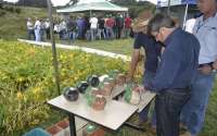 Pinh&atilde;o - Prefeito e secret&aacute;rio de Agricultura prestigiam Dia de Campo da EMATER