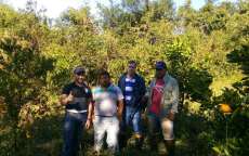 Nova Laranjeiras - Secretaria de Agricultura presta auxilio t&eacute;cnico em pomar na Reserva Ind&iacute;gena