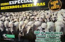 Laranjeiras - Sociedade Rural garante que leilão que aconteceu no último sábado, dia 30, foi um sucesso