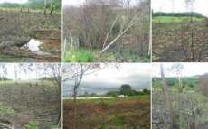 Laranjeiras - Chacareiro roça e planta milho em terras que antes eram floresta de preservação permanente