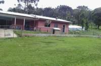 Pinh&atilde;o - Vende-se linda ch&aacute;cara na estrada do Zattar com mais de 12 mil metros quadrados. Veja fotos