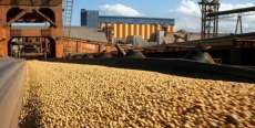 Paran&aacute; &eacute; o terceiro em exporta&ccedil;&otilde;es no Pa&iacute;s