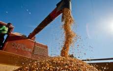 Paran&aacute; tem o maior custo de produ&ccedil;&atilde;o de gr&atilde;os do Brasil